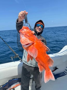 Fishing in San Diego, California