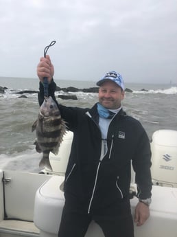 Sheepshead fishing in Galveston, Texas