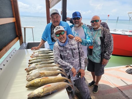 Redfish, Speckled Trout / Spotted Seatrout Fishing in Rio Hondo, Texas