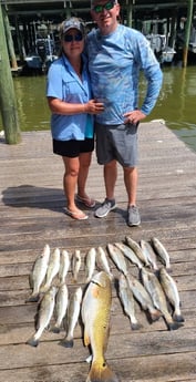 Redfish, Speckled Trout / Spotted Seatrout fishing in Port O&#039;Connor, Texas