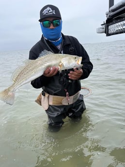 Speckled Trout Fishing in Rio Hondo, Texas