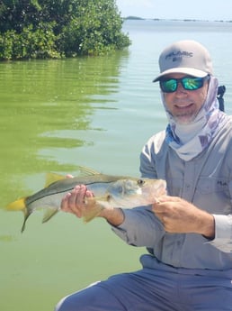 Fishing in Islamorada, Florida