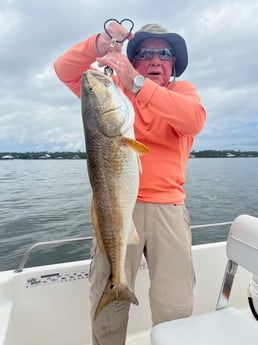 Redfish Fishing in Orange Beach, Alabama