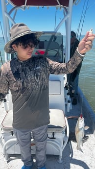 Redfish Fishing in South Padre Island, Texas