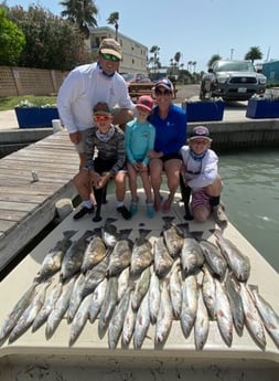 Black Drum, Speckled Trout / Spotted Seatrout fishing in South Padre Island, Texas