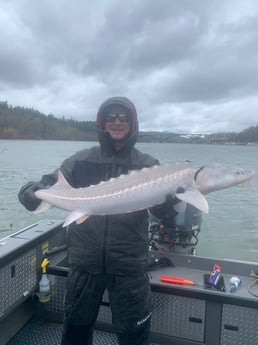 Sturgeon Fishing in Portland, Oregon, USA