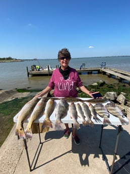 Black Drum, Redfish, Sheepshead, Speckled Trout / Spotted Seatrout fishing in Galveston, Texas