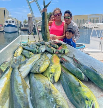 Mahi Mahi / Dorado fishing in Key West, Florida