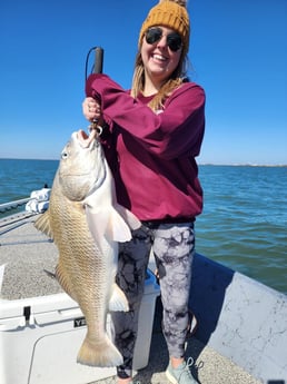 Black Drum Fishing in Galveston, Texas