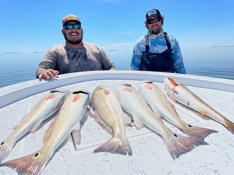 Redfish fishing in Port Isabel, Texas