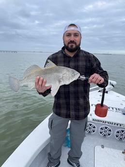 Black Drum fishing in Corpus Christi, Texas