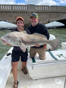 Black Drum Fishing in Galveston, Texas