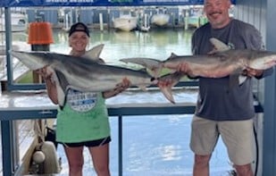 Blacktip Shark fishing in Galveston, Texas