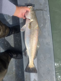 Fishing in Aransas Pass, Texas