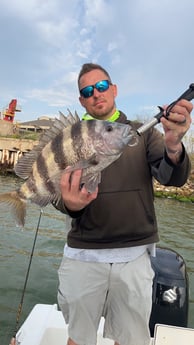 Sheepshead Fishing in Galveston, Texas