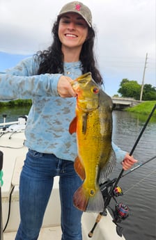 Fishing in Delray Beach, Florida