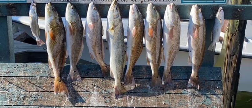 Redfish, Speckled Trout / Spotted Seatrout fishing in Aransas Pass, Texas