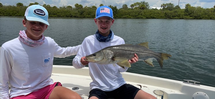 Snook fishing in Tampa, Florida