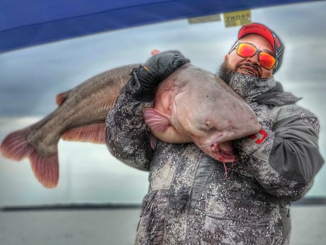 Blue Catfish fishing in Dallas, Texas