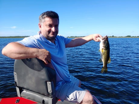 Largemouth Bass fishing in Kissimmee, Florida