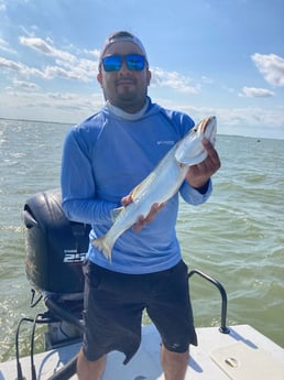 Speckled Trout / Spotted Seatrout fishing in Galveston, Texas