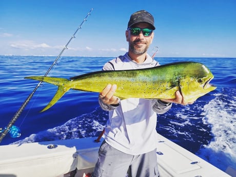 Mahi Mahi Fishing in Fort Lauderdale, Florida