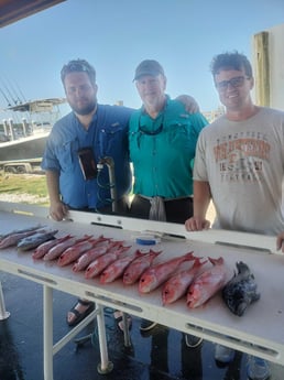 Fishing in Jacksonville, Florida