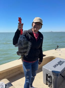 Sheepshead fishing in Galveston, Texas