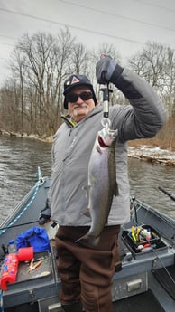 Steelhead Fishing in Verona Beach, New York