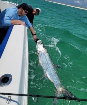 Tarpon fishing in Destin, Florida