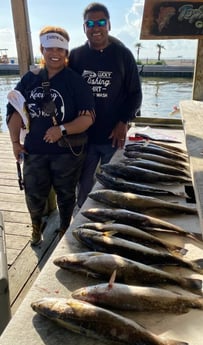 Speckled Trout / Spotted Seatrout fishing in Galveston, Texas