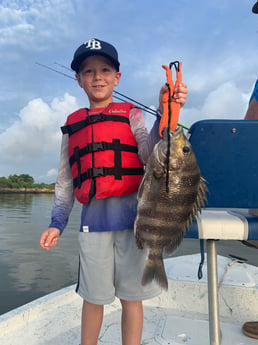 Sheepshead fishing in Galveston, Texas