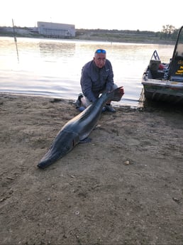 Alligator Gar fishing in Coldspring, Texas