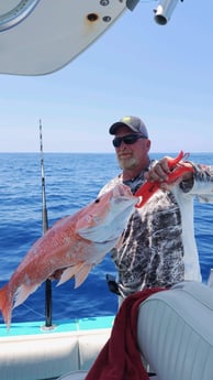 Red Snapper Fishing in Daytona Beach, Florida