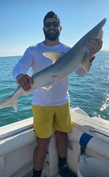 Bonnethead Shark fishing in South Padre Island, Texas