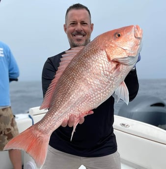 Red Snapper fishing in Clearwater, Florida