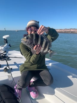 Sheepshead Fishing in Galveston, Texas