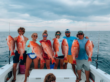 Red Snapper Fishing in Biloxi, Mississippi