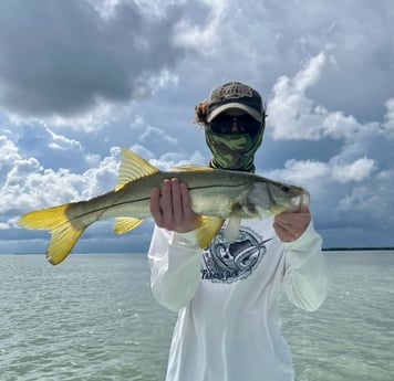 Snook Fishing in Islamorada, Florida