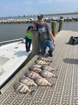 Sheepshead Fishing in Gulf Shores, Alabama