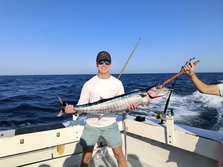 Wahoo Fishing in Destin, Florida