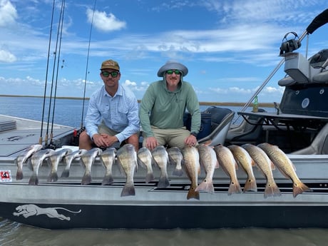 Black Drum, Redfish fishing in Rockport, Texas