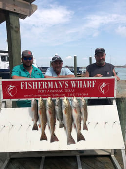 Redfish, Speckled Trout / Spotted Seatrout fishing in Rockport, Texas