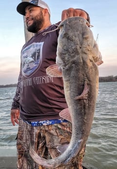 Blue Catfish fishing in Dallas, Texas