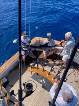 Sailfish Fishing in Marathon, Florida