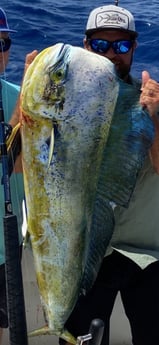 Mahi Mahi / Dorado Fishing in Key Largo, Florida