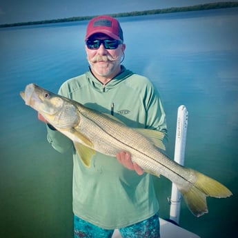 Snook fishing in St. Petersburg, Florida