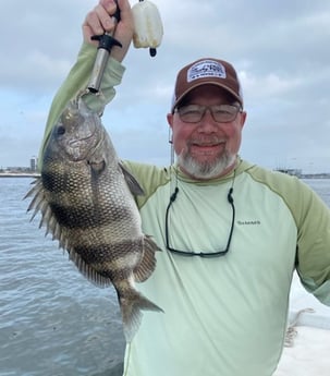 Sheepshead Fishing in Orange Beach, Alabama