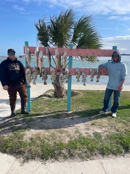 Black Drum, Redfish Fishing in Rockport, Texas