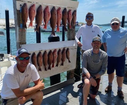 Mangrove Snapper, Red Snapper fishing in Destin, Florida